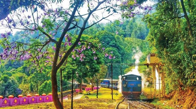 Nilgiri Mountain Railway enthusiasts seeking Coonoor-Runnymede specials