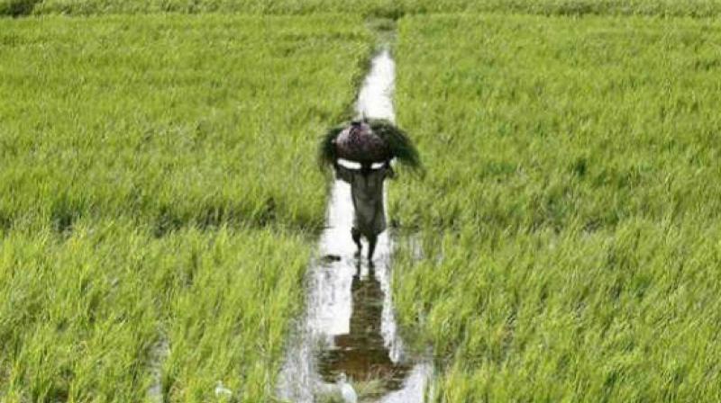 Farmers welcome PM-Kisan scheme