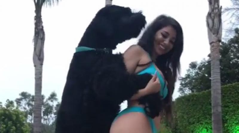 He claims that Mounira aroused the dog by playing with his genitals (Photo: Instagram)