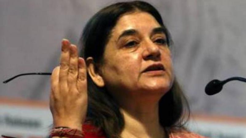Vote for me or else... Is Maneka Gandhi\s poll pitch a threat?
