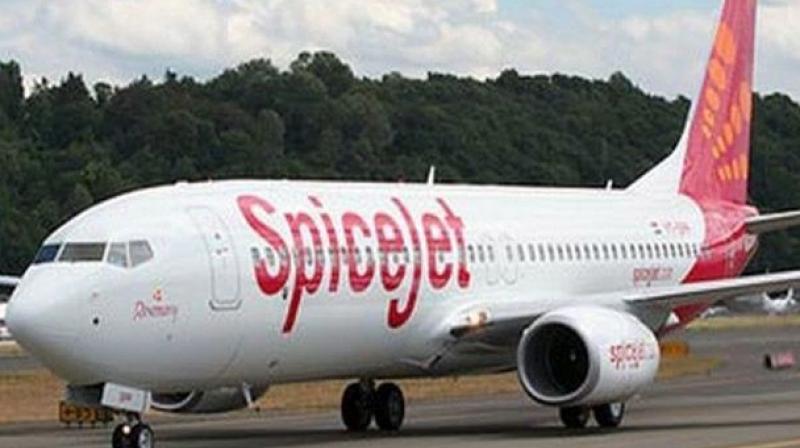 SpiceJet flight. (Photo: Representational Image)