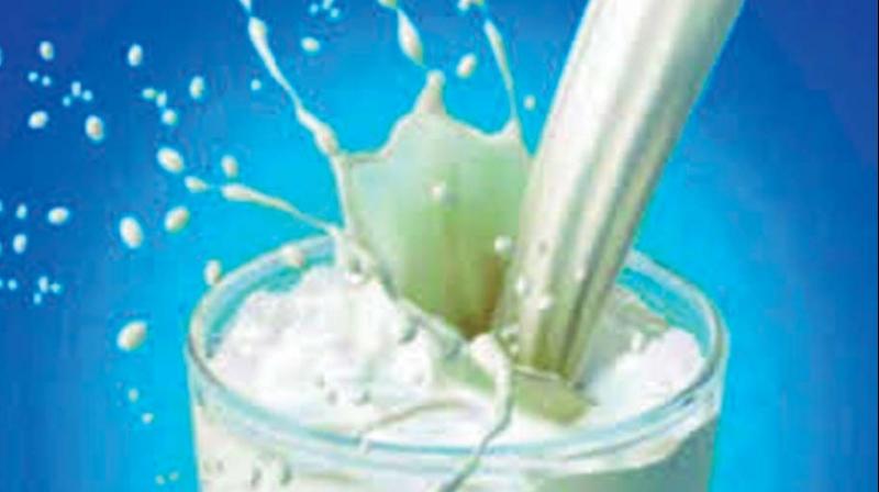 MP brothers became crorepatis by selling synthetic milk made of detergent, shampoo