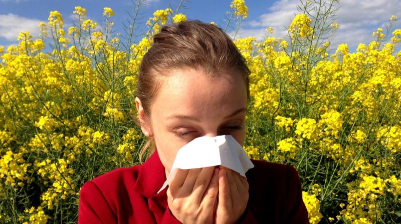 Tackling pollen allergies this spring season