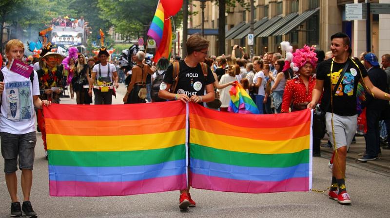 Costa Ricans rejoice gay marriage ruling in pride parade