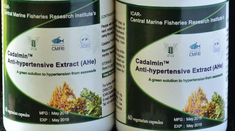 Kochi: Seaweed product to combat Blood Pressure