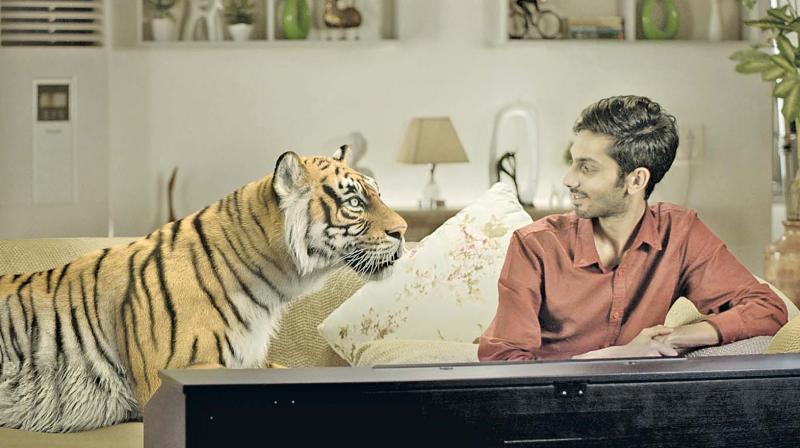 A tigress plays central character in Thumbaa