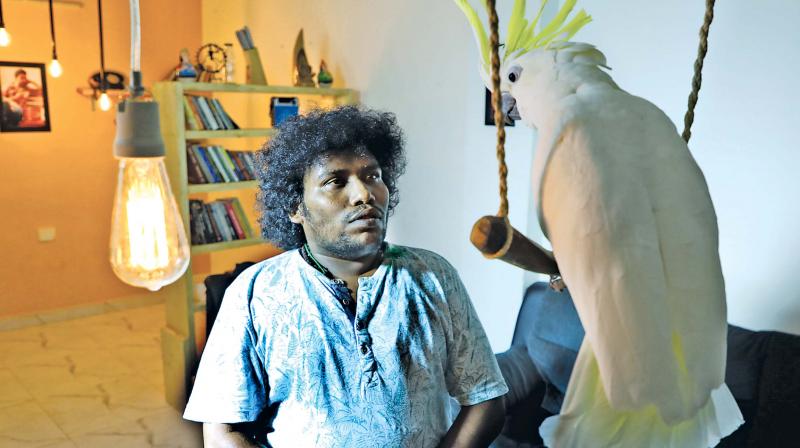 Thereâ€™s a bird in the Cocktail for Yogi Babu