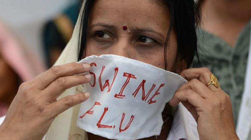 Theni, Coimbatore, Tirunelveli, Trichy and Tirupur have recorded largest number of cases and deaths in Tamil Nadu due to swine flu.   (Representational Images)