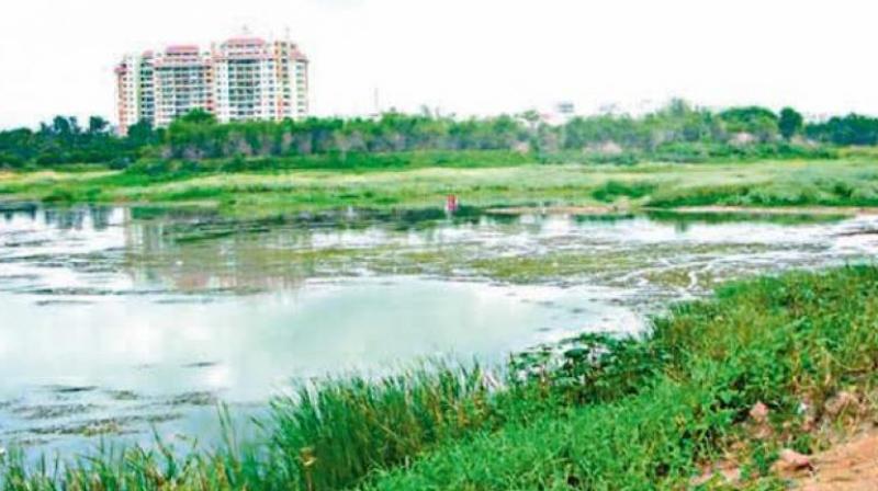 Avadi lake project: This Chennai lake can show a new way for water crisis