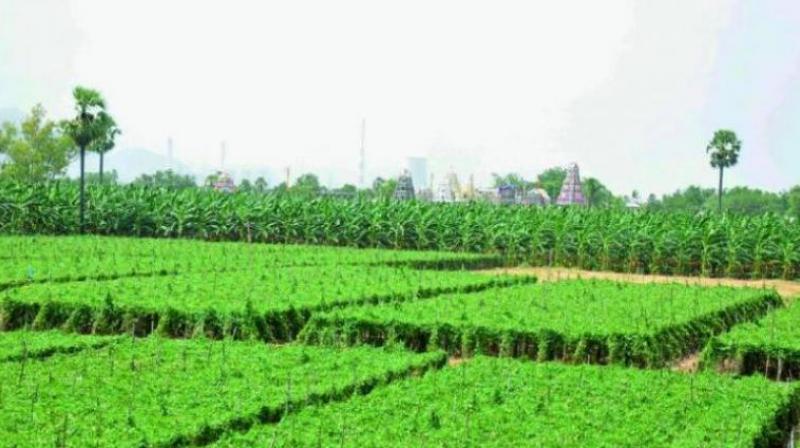 IFFCOs Kisan SEZ is in the thick of controversy as all parties and farmers associations aiming their guns on the organisation for allotting land to industries that have nothing to do with farmers or agriculture.
