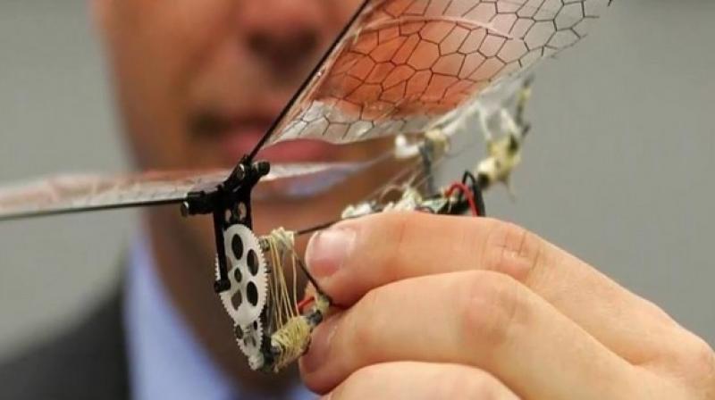 Insect Arm inspired drones invented using in-flight adjustments technology