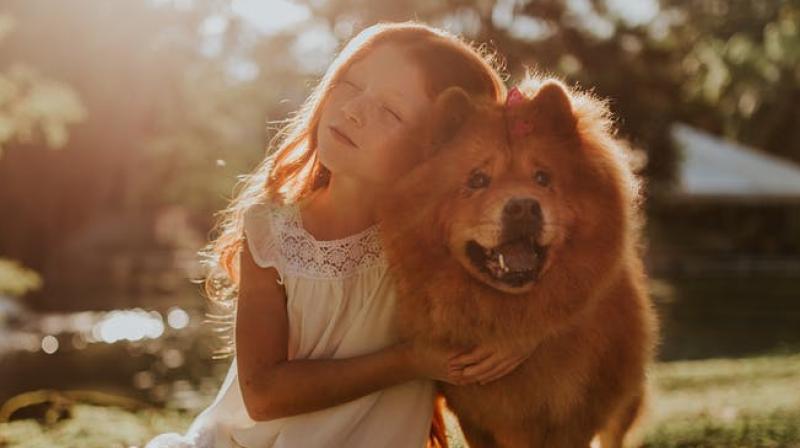 Researchers say dogs could protect against childhood asthma, eczema. (Photo: Pexels)