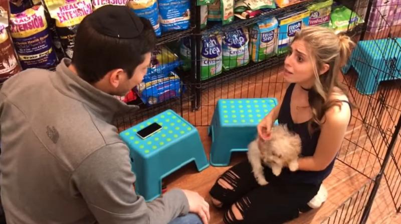 This girl cant cannot her emotions when her boyfriend proposes with a puppy. (Photo: Youtube)