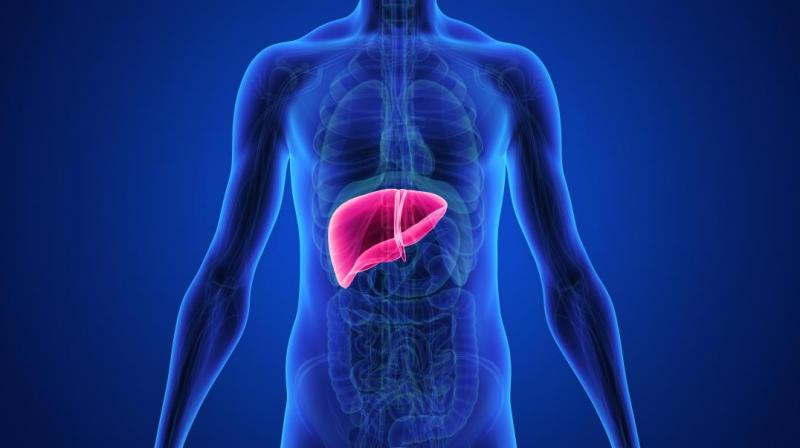 Drug-induced liver injuries