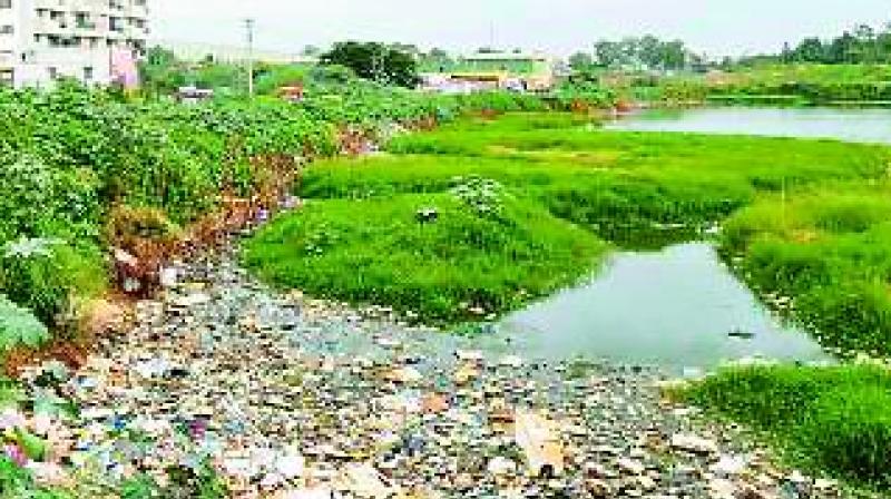 Hyderabad: Lakes! No, call them dustbins