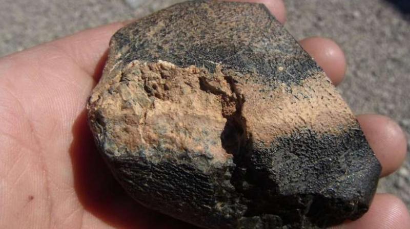 Sample of Martian meteorite Northwest Africa 7635. (Photo: phys.org)