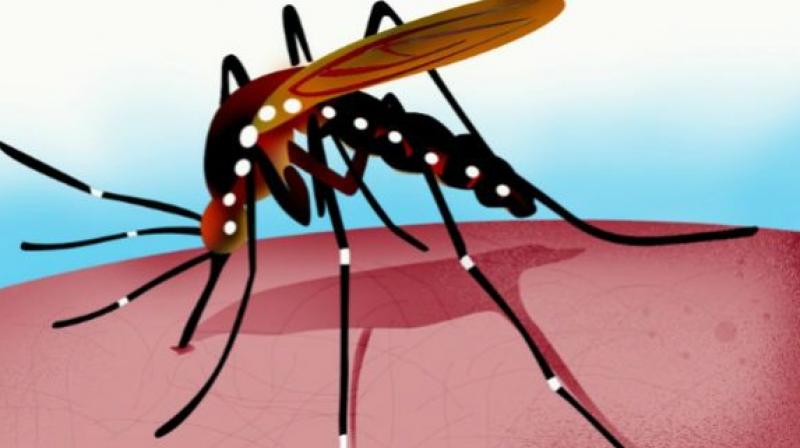 Early diagnosis of dengue infection is very important, especially in severe cases of dengue haemorrhagic fever (DHF) and Dengue Shock Syndrome (DS), which are the major causes of death.