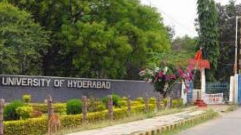 University of Hyderabad scholars put water tubs for birds, animals