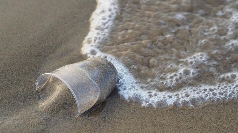 Some eight million tonnes of plastic is dumped into oceans every year