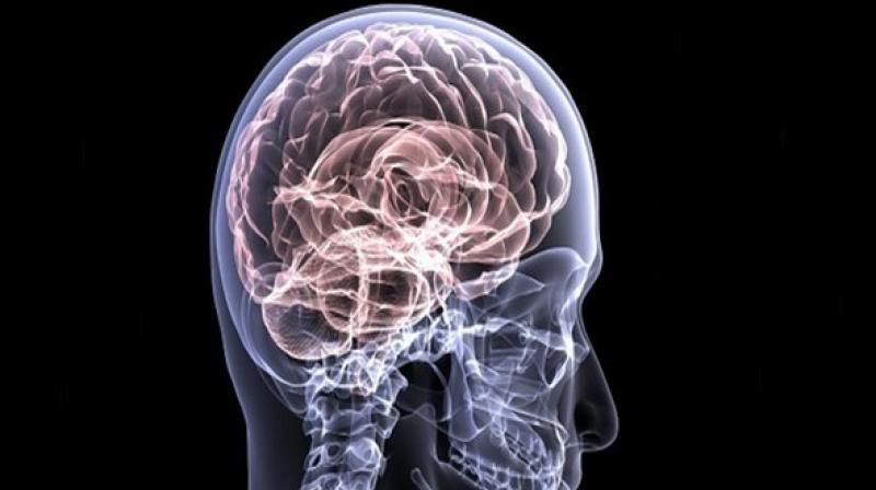 Memory impairment can be improved through gene repair