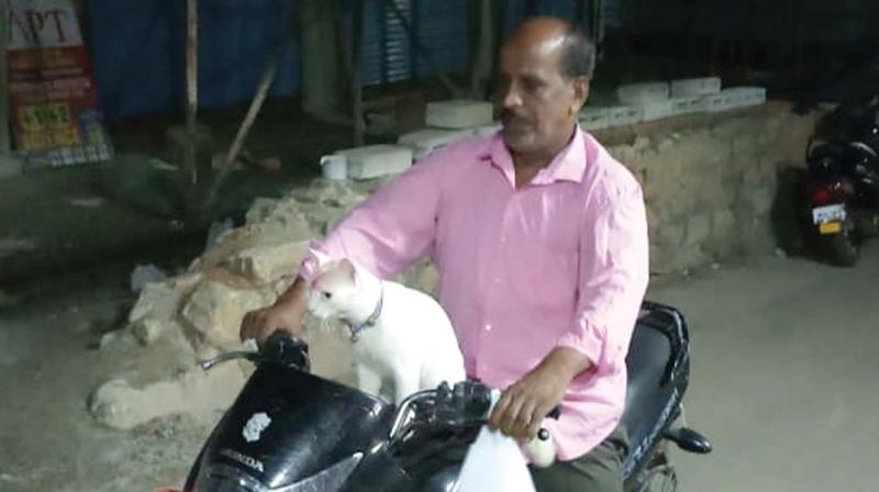 Kuttoos with his master Santhosh Kumar on the motorcycle.