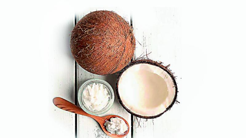 Its role in religious ceremonies is widely known and in South India no gift is complete without a coconut.
