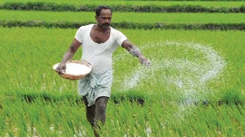 Deferring fertilisers subsidy payment may allow finance minister Piyush Goyal some elbowroom for offering a farm package for the stressed agriculture sector.