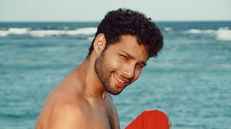Women on dating app are looking for man like Siddhant Chaturvedi; here\s proof