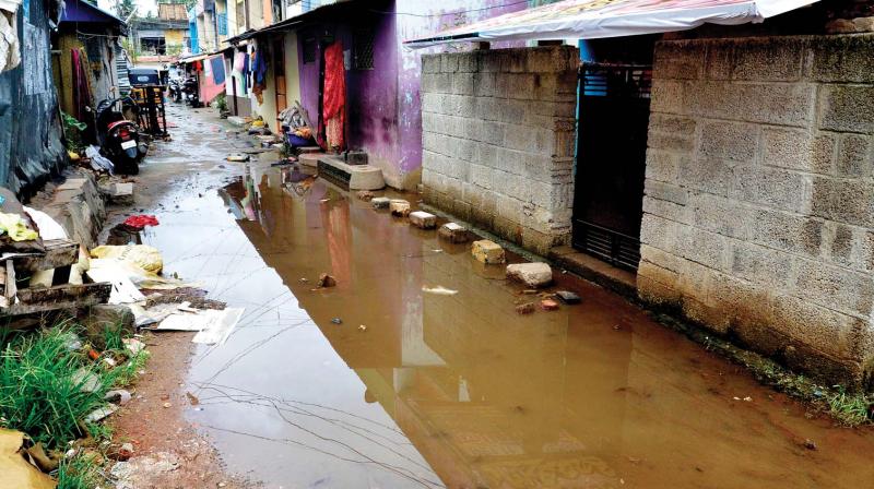 Miserable conditions in Rajaji Nagar Colony. 	DC