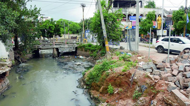 Hyderabad: Dengue menaces Lakshminagar, cattle blamed