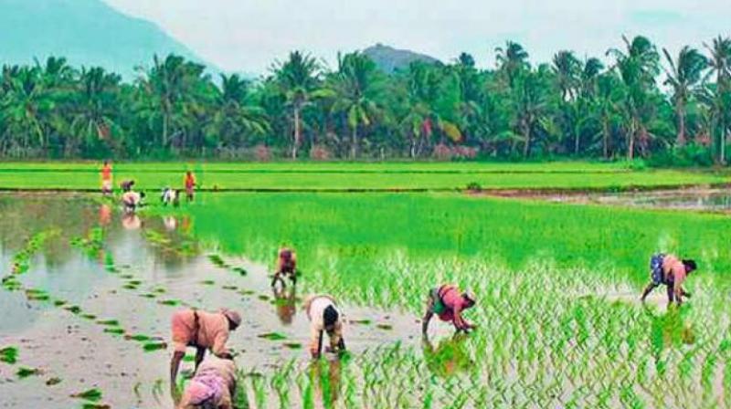 BJP seeks farm loan waiver in Telangana