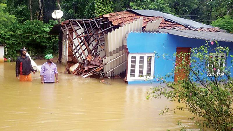 Flood of woes: Rain leaves destruction, disease in its wake