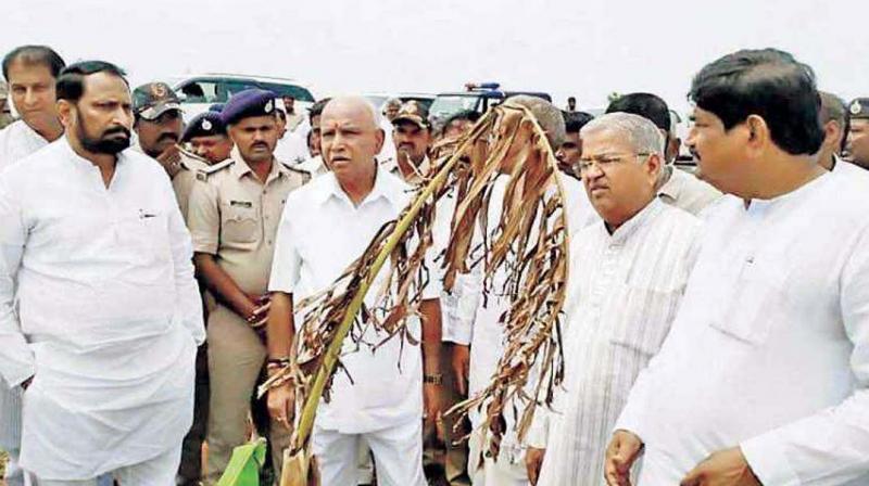 State BJP chief B.S. Yeddyurappa who visited some drought-hit areas in Badami taluk a few days ago.