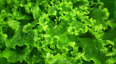 Study explains how eating leafy greens keeps your heart health. (Photo: Pixabay)
