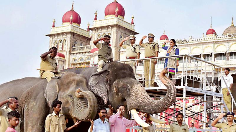 Two days to go: Jumbos ready for Tuesdayâ€™s grand finale