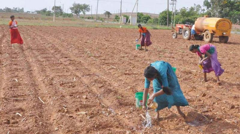 Farmers of Gadag are worst affected as the district received merely 50 per cent of the normal rainfall in June. Sowing operations have been witnessed in only 40 per cent of the farm land as farmers are hesitant to resume agriculture activity due to failure of monsoon for two years.