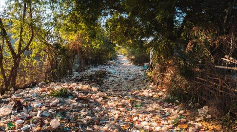 Moving mountains: Life amid climate change in the Himalayas