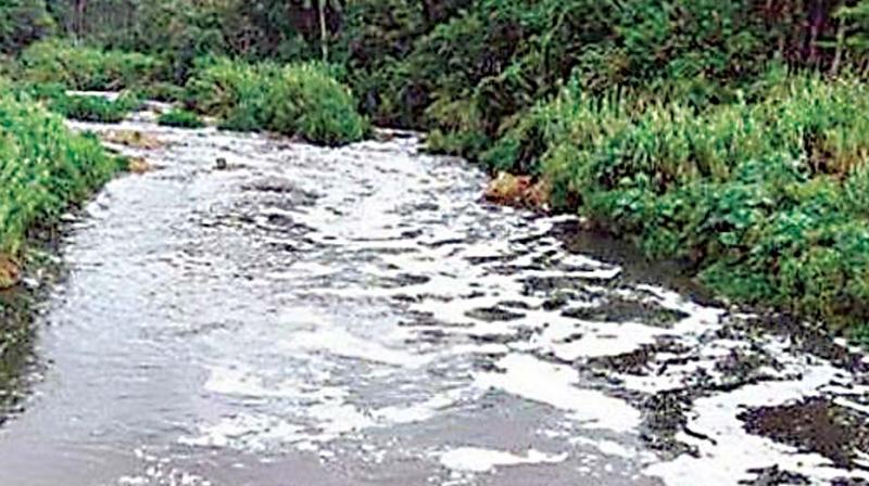 Visakhapatnam: Industrial waste polluting  tanks, catchment areas