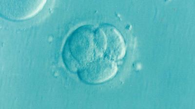 Blood pressure risk high for babies conceived via IVF. (Photo: Pixabay)