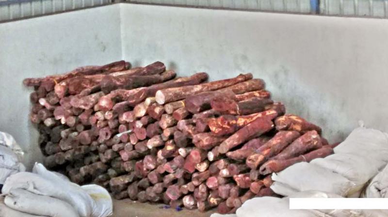 Red sanders pile found by cops in the godown near Oragadam. (Photo: DC)