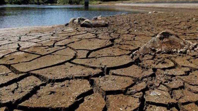 Another drought year will hurt Rayalaseema badly