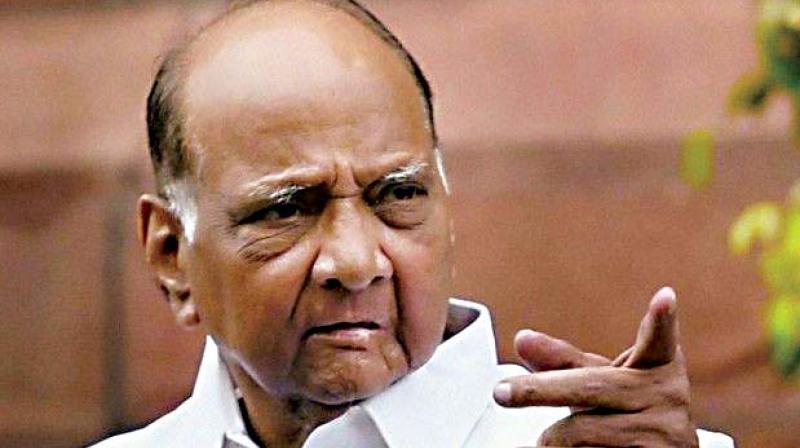Cowards: Pawar attacks former NCP colleagues who joined BJP ahead of Assembly polls