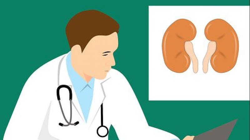 Artificial intelligence augments traditional method of diagnosing kidney disease