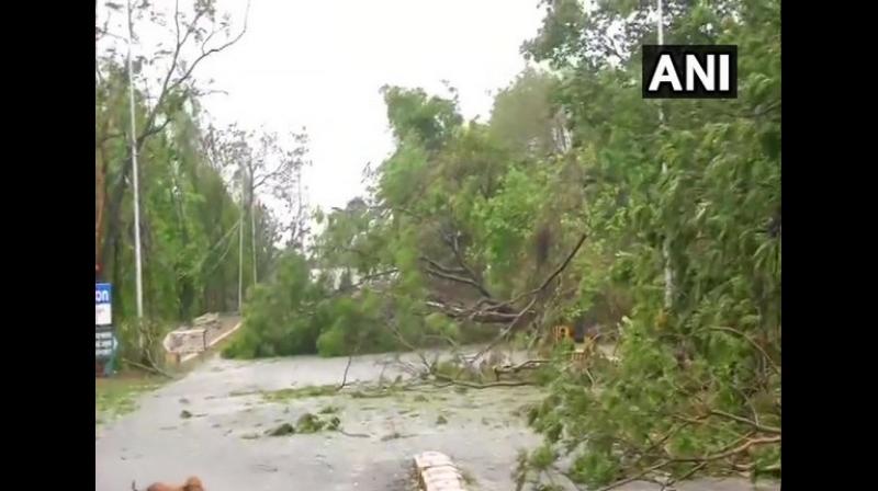 Cyclone Fani lashes Odisha, leaves 3 dead besides over 160 injured