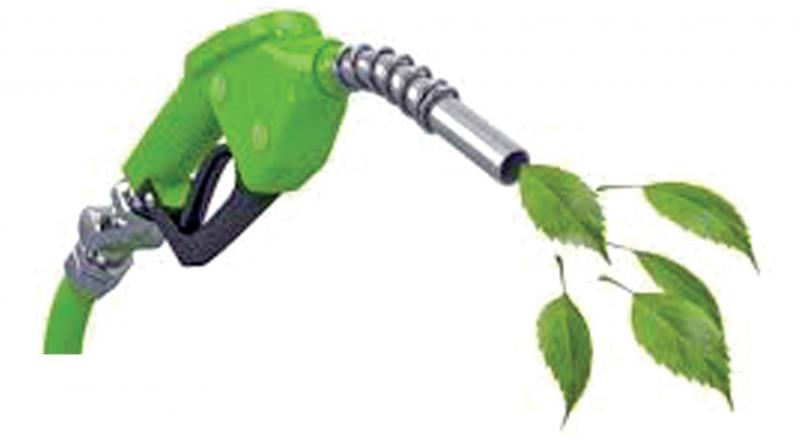 The Government has approved the National Policy on Biofuels in June 2018. According to it, prices of molasses-based ethanol and sugarcane juice-based ethanol has been fixed at Rs 47.40. The Government has reduced the GST on ethanol for blending in fuel from 18 percent to 5 percent. Biomass pellets for cooking costs Rs 15 a kilogram while LPG costs Rs 70.
