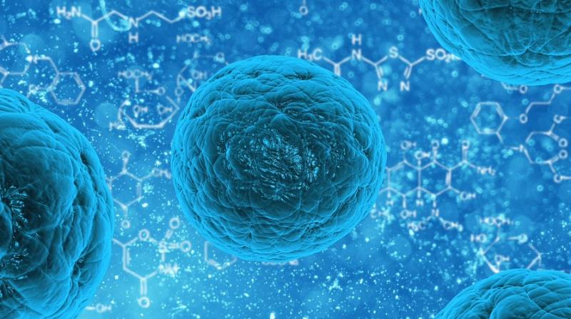Advanced cancer can be treated with personalised cell therapies