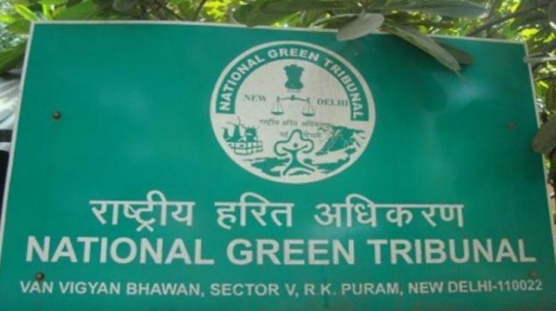 NGT directs SDMC to submit report on illegal encroachments at Samalkha Extension