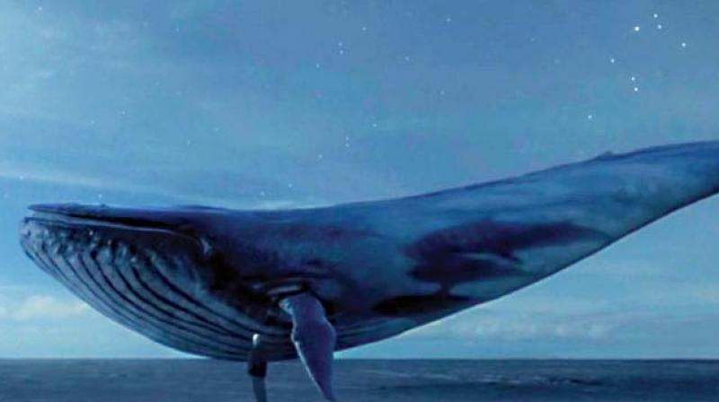 A sick suicide internet game called Blue Whale that is being probed by Russian cops after being linked to 130 teen deaths.