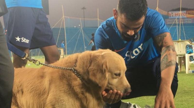 The Indian skipper was seen making friends with sniffer dogs, in particular a golden retriever called Prince. (Photo: BCCI)