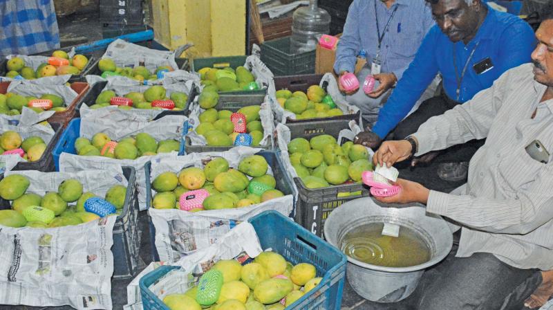 Chennai: FSSAI allows use of ethylene to ripen fruits